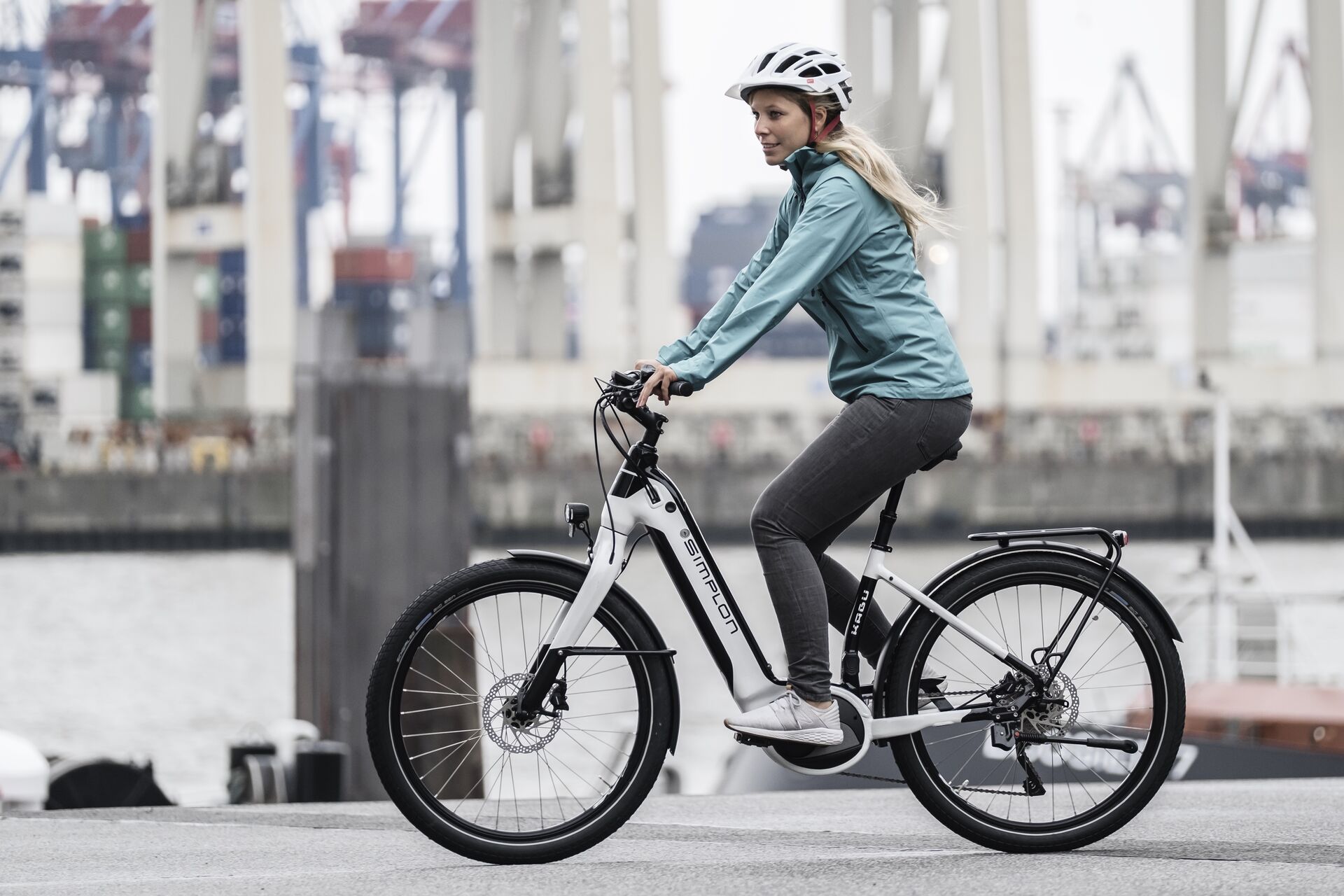 Mid motor deals electric bike