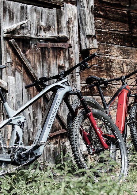 Simplon ebike 2024 2020