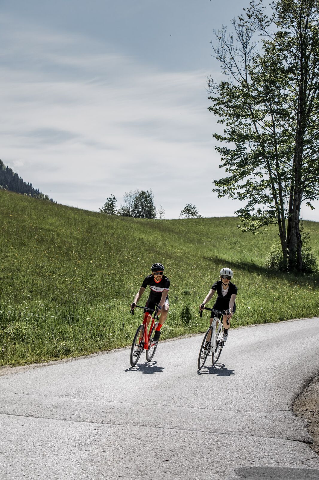 E road bikes 2021 best sale