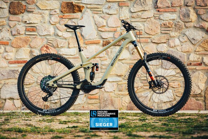 Best enduro best sale e mtb 2020