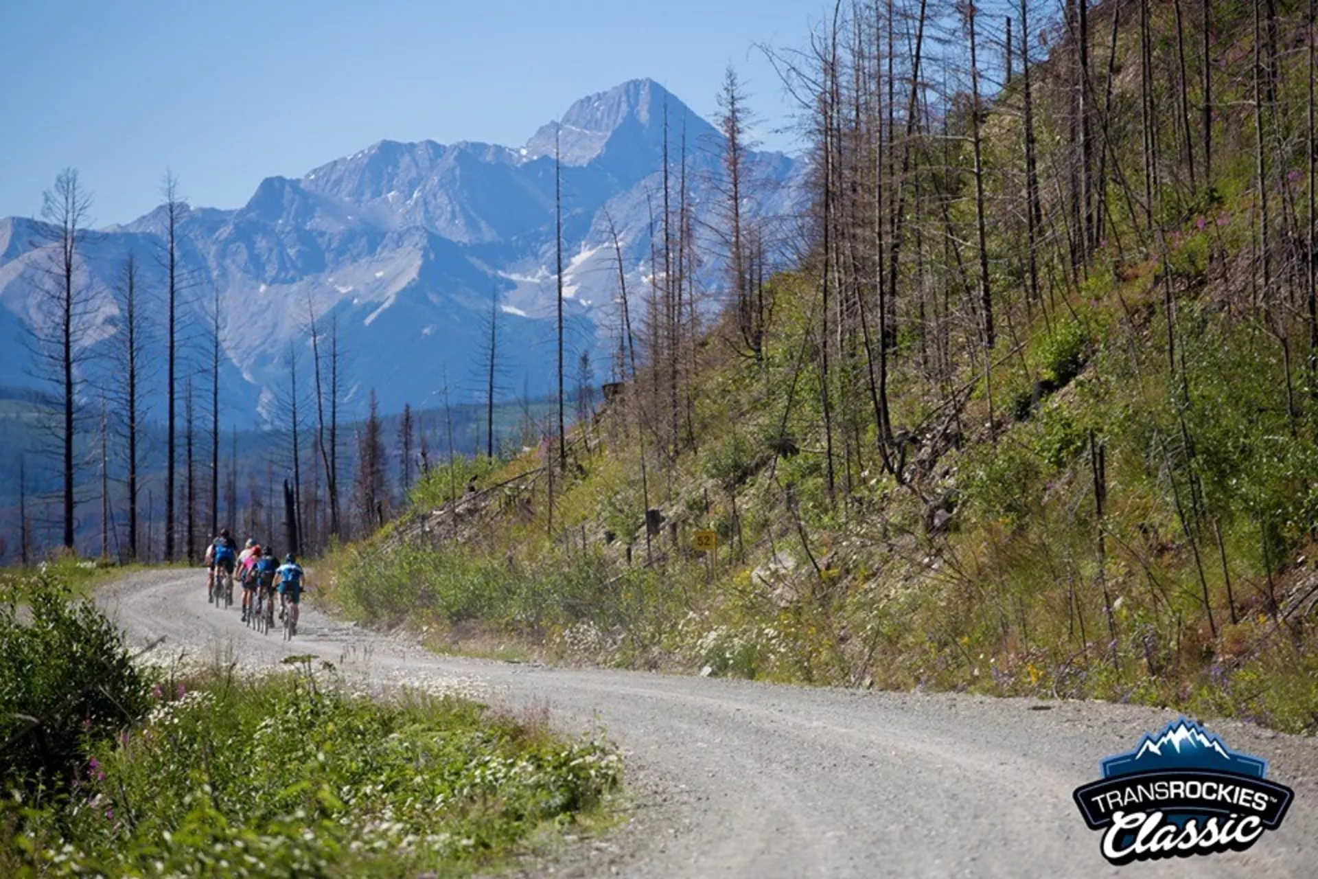 transrockies mountain bike race