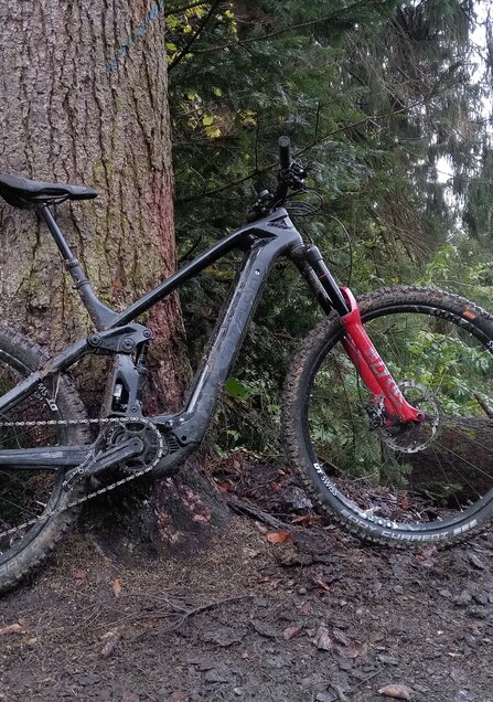 my first mountain bike